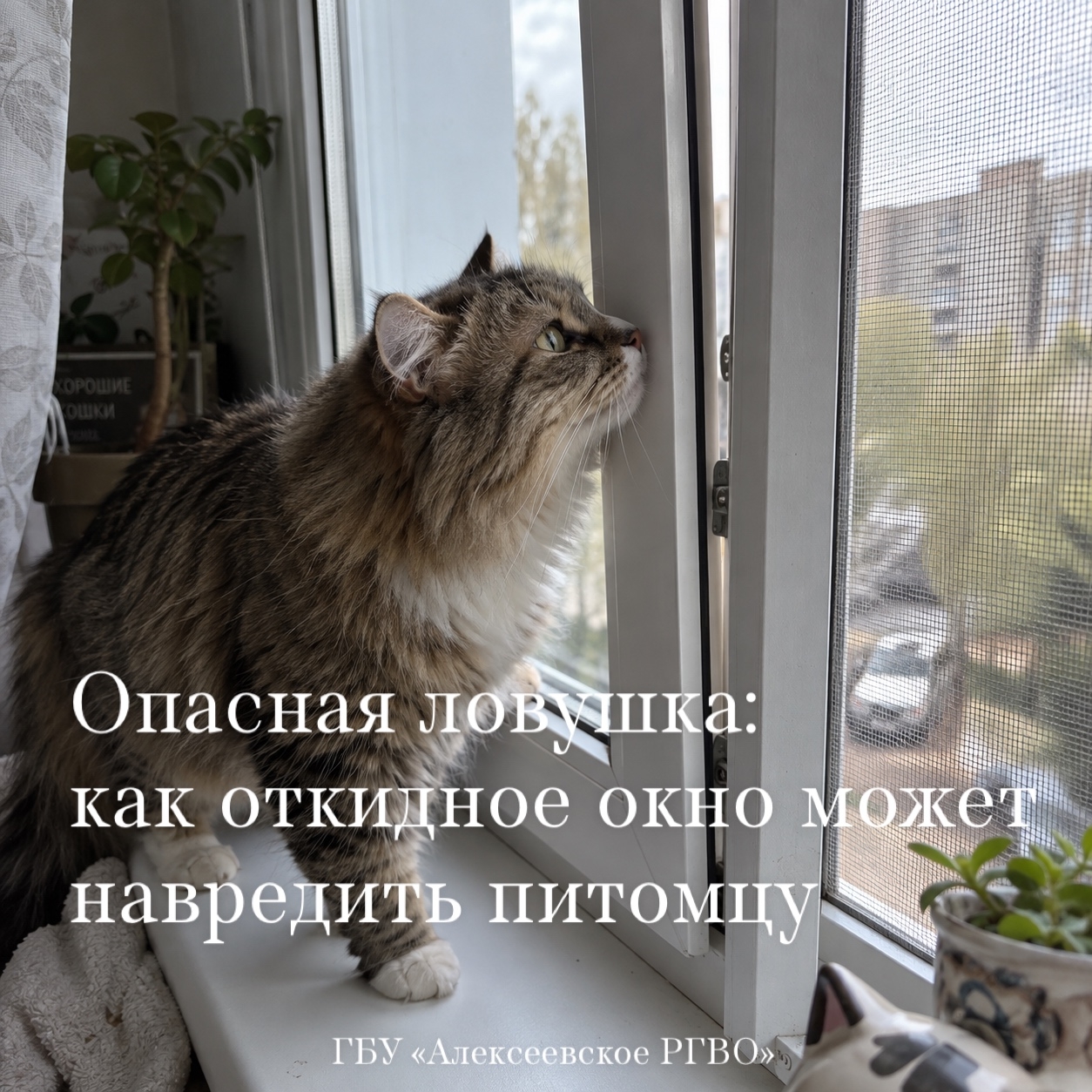 Опасность, которую многие не замечают: откидное окно