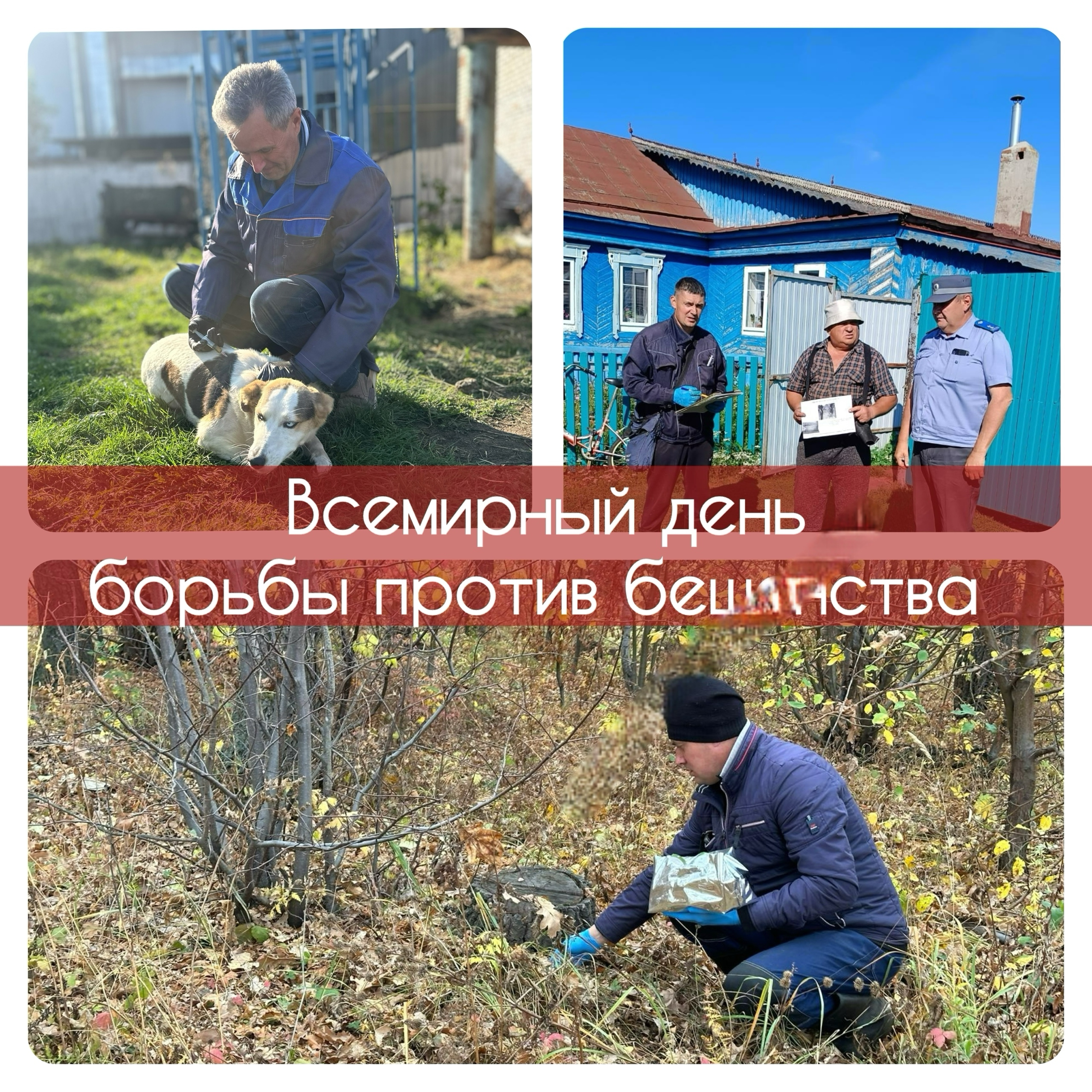 От Пастера до наших дней: как мы научились бороться с бешенством