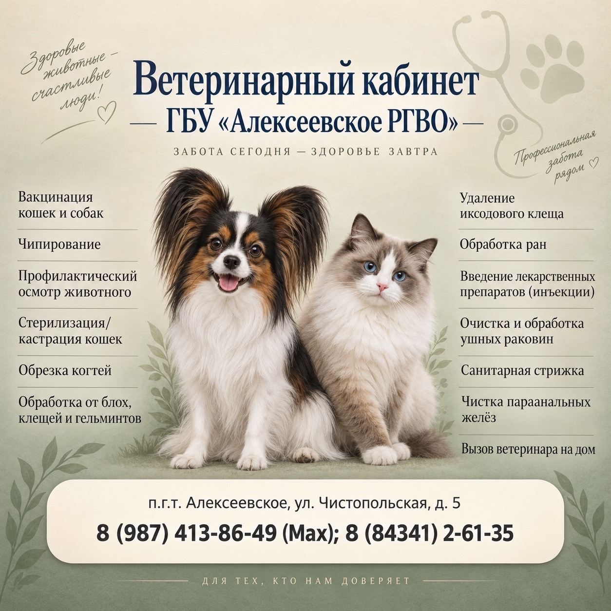 В Алексеевском ветобъединении есть уютный ветеринарный кабинет — приходите вместе с питомцем!
